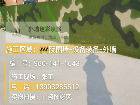 邵阳 迷彩漆喷涂价格（按平方米计费）