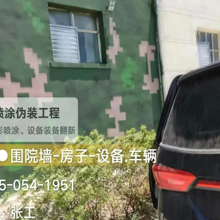 邵阳数码迷彩漆施工